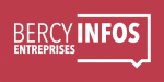 Bercy Info Logo