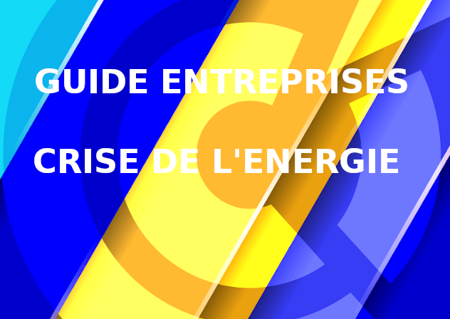 guide entreprise crise de l'énergie