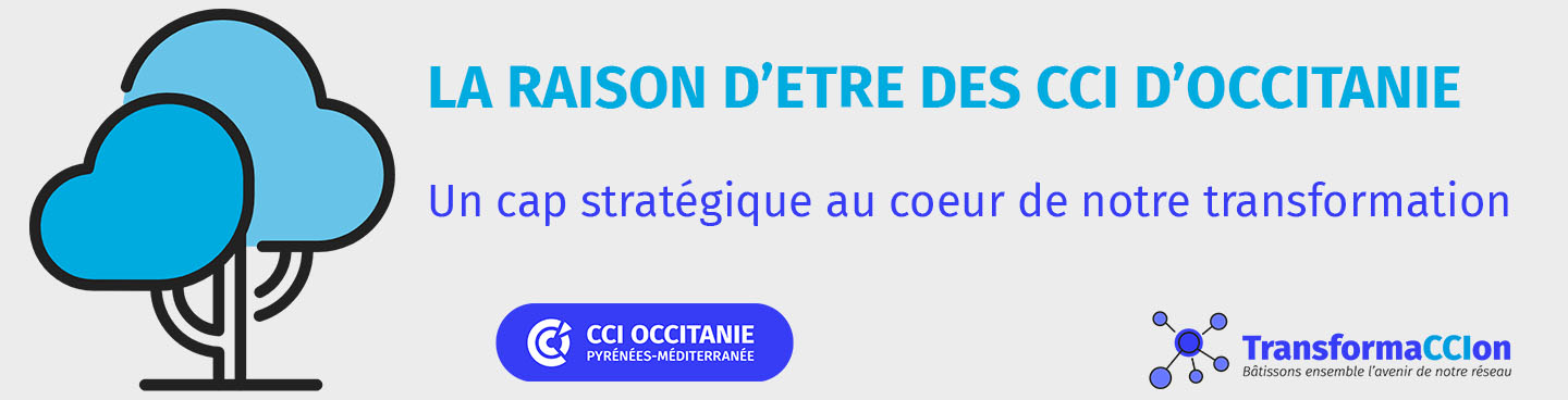 Raison d'Etre des CCI d'Occitanie 