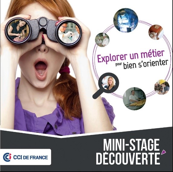 Mini stage Découverte professionnelle 