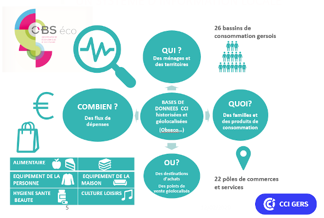 Dépenses des ménages- évasion commerciale – niveaux d’activité et d’ attractivité des pôles gersois